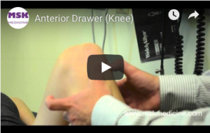 Screen Shot 2019-09-13 at 5.25.34 PM