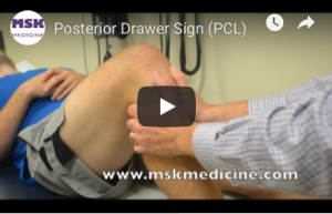 Screen Shot 2019-09-15 at 1.32.55 PM