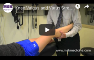 Screen Shot 2019-09-15 at 1.33.39 PM